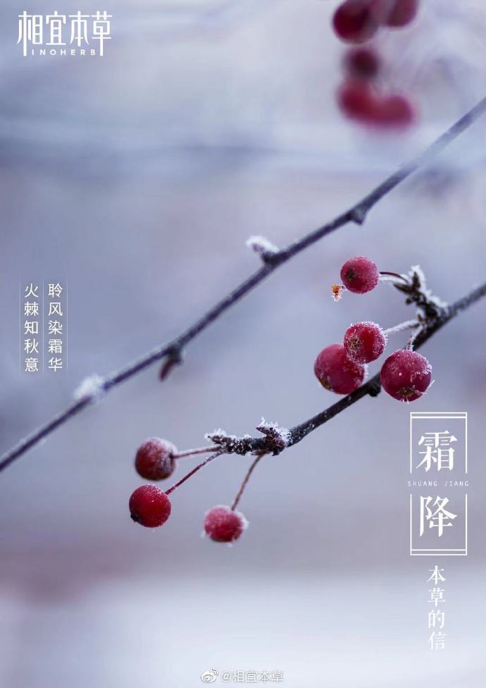 1571889951371172.jpg 1571889951371172.jpg