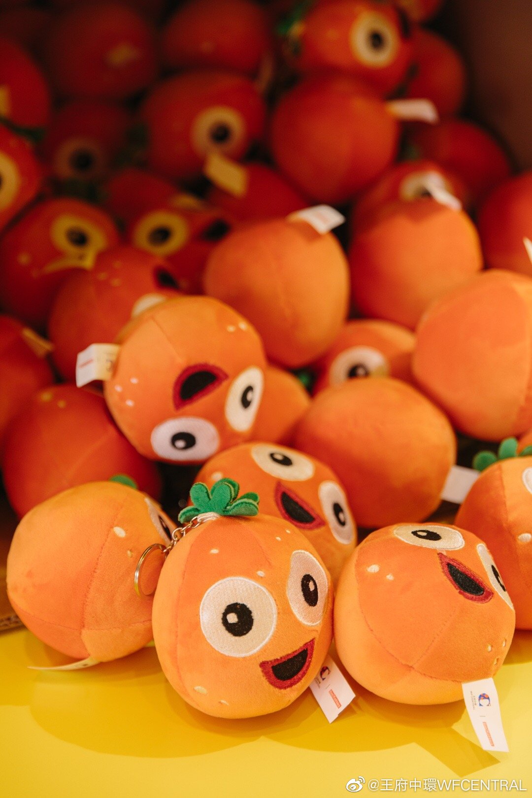 北京王府中環联手荷兰艺术家打造沉浸式艺术展,妙趣横生! 北京王府中環联手荷兰艺术家打造沉浸式艺术展,妙趣横生!