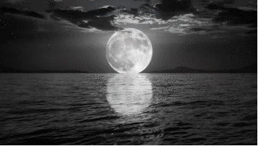 1572852535396484.gif 1572852535396484.gif