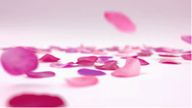 1572852534552600.gif 1572852534552600.gif