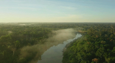 《地球动脉》《我们的星球》大自然家居溯源纪录片：从城市到雨林，寻木成材的真实历险记