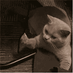 浙江联通《“奇葩”说5G》宝藏视频：5G到底是个啥？