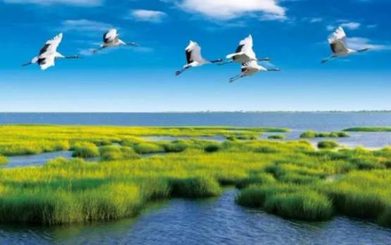 我们深入观察了300家企业，发现2020年3大管理新趋势