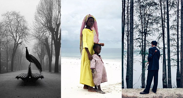 IPPA 2019 苹果摄影大赛作品合集 IPPA 2019 苹果摄影大赛作品合集