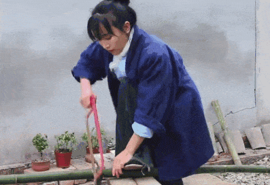 李佳琦与李子柒:流量网红应该何去何从? 李佳琦与李子柒:流量网红应该何去何从?