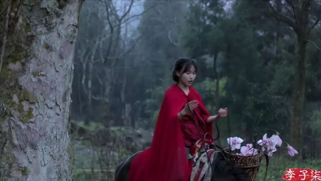 李佳琦与李子柒:流量网红应该何去何从? 李佳琦与李子柒:流量网红应该何去何从?