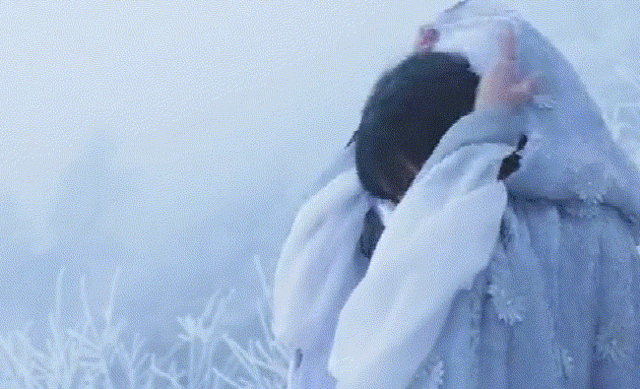 李佳琦与李子柒:流量网红应该何去何从? 李佳琦与李子柒:流量网红应该何去何从?