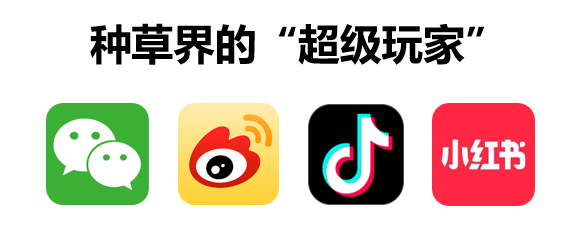 千年东阿阿胶遇上百年故宫，携手共创“宫廷轻滋补，气色新美学”