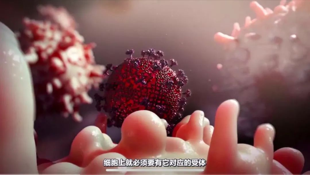 一个科普视频涨粉320万！回形针是怎么做到的？