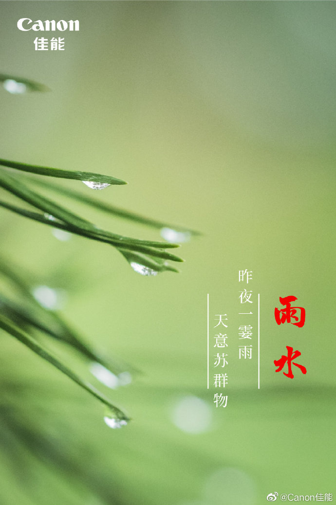 雨水海报合集，品牌们纷纷“求雨”盼春来