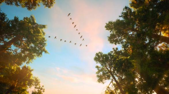 农夫山泉金鼠水暖心动画，全场景虚拟拍摄！