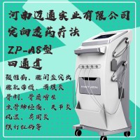中医定向透药治疗仪ZP-A8型