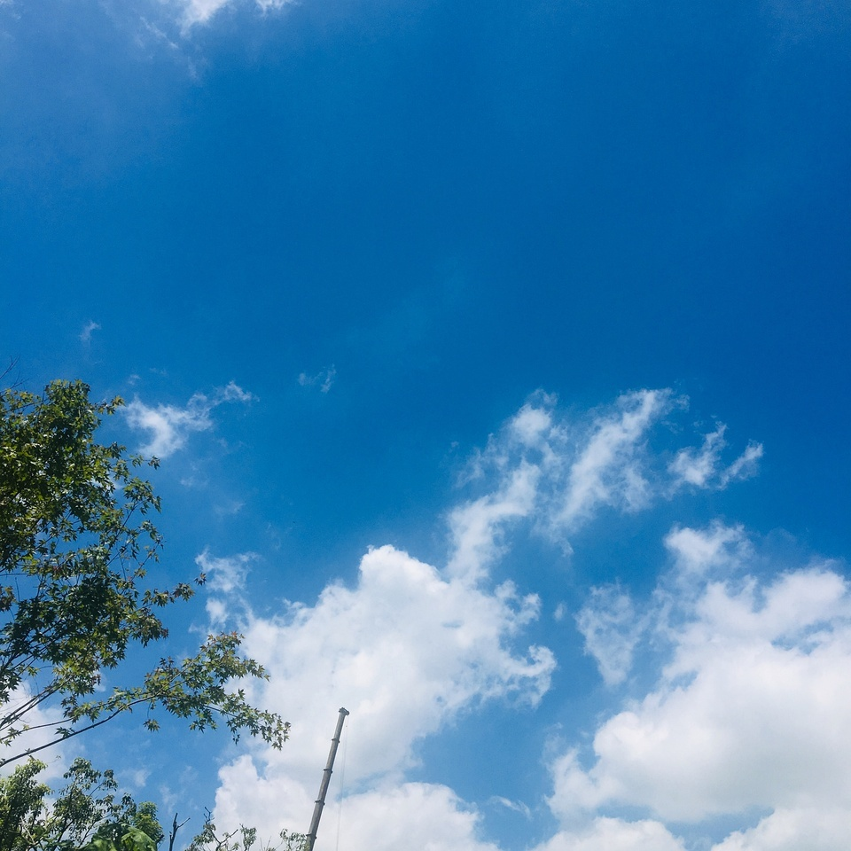 2020年失业的职场人，现在都去哪儿了？