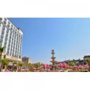 鼎盛公司 联系方式