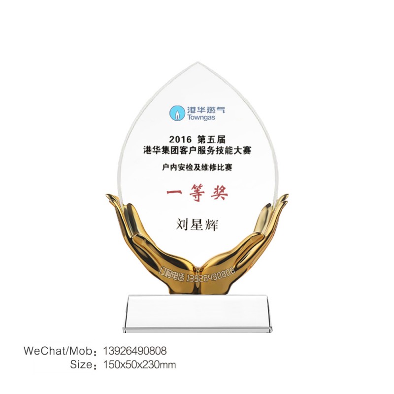 双手捧-客户服务技能大赛奖杯-139水印