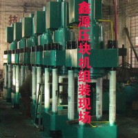 Y朝阳市全自动海绵铁高密压块机质优价美  经验丰富