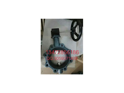 保证原装正品德国EBRO依博罗涡轮蝶阀 Z014-A