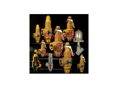 原装正品台湾317SV-B3DL青铜螺纹安全阀速发货