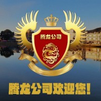 腾龙娱乐游戏公司