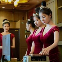 腾龙客服飞机@sf51118