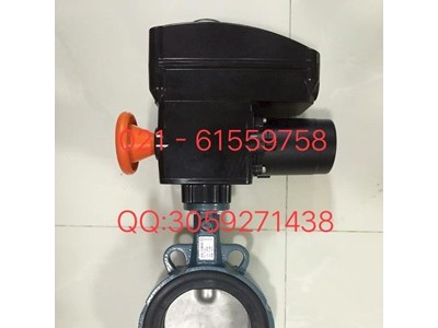 德国依博罗中线软密封蝶阀 EBRO原装正品