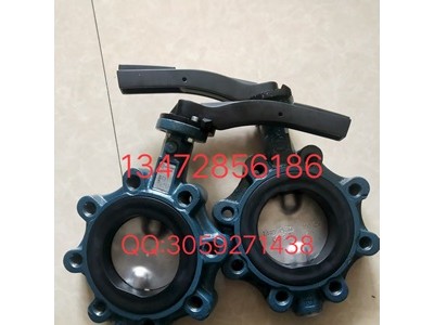 德国依博罗Z014-A支耳式蝶阀DN40-DN500