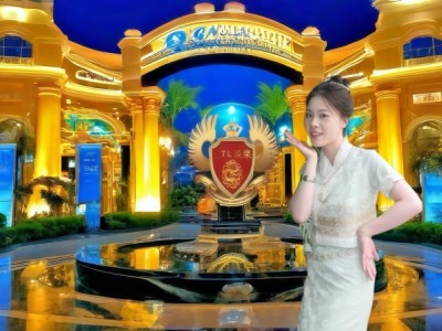 腾龙娱乐游戏公司