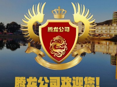 腾龙娱乐游戏公司