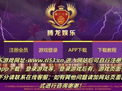 腾龙娱乐游戏公司