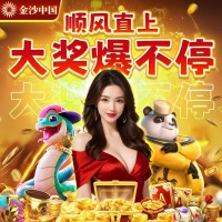 圣淘沙公司负责人